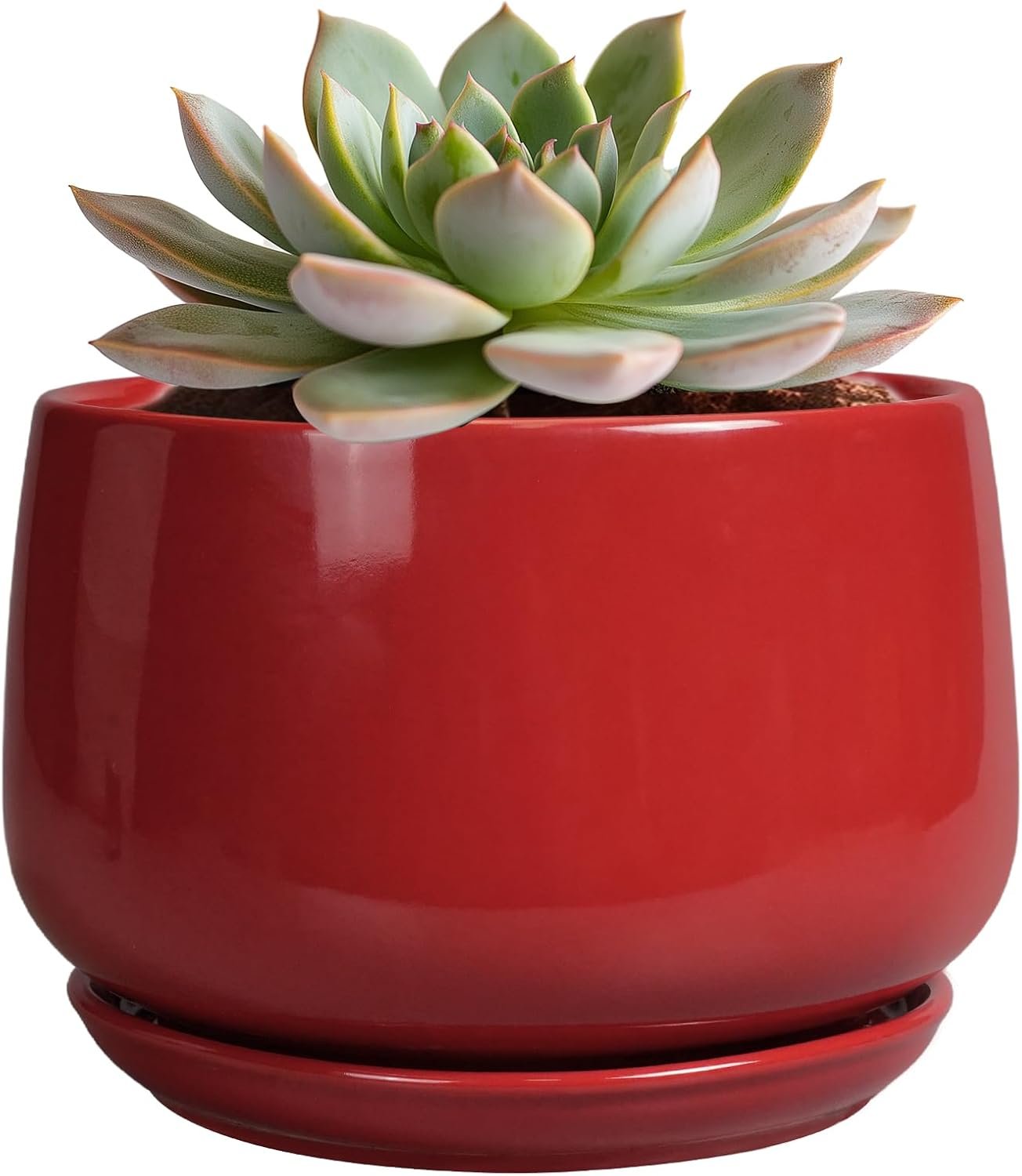 G EPGardening Ceramic Pot for Plants – 6 Inch Plant Pot with Drainage and Ceramic Tray, Modern Living Room Decor, Planter for Housewarming Gifts New Home, Red