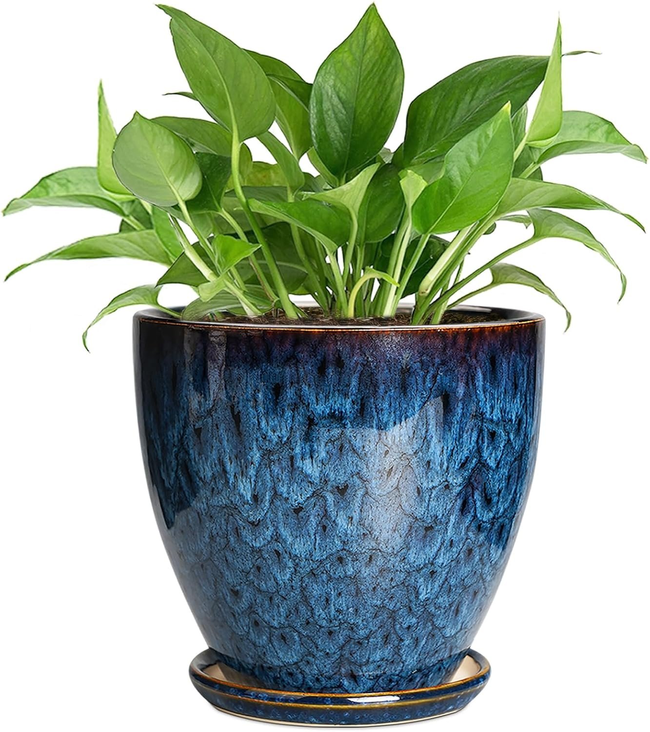 6 Inch Plant Pot – Ceramic Pots for Plants with Drainage Hole and Saucer, Ceramic Planters for Indoor Plants Outdoor, Decorative Round Planter, Room Home Decor, Gifts for Plant Lovers, Blue