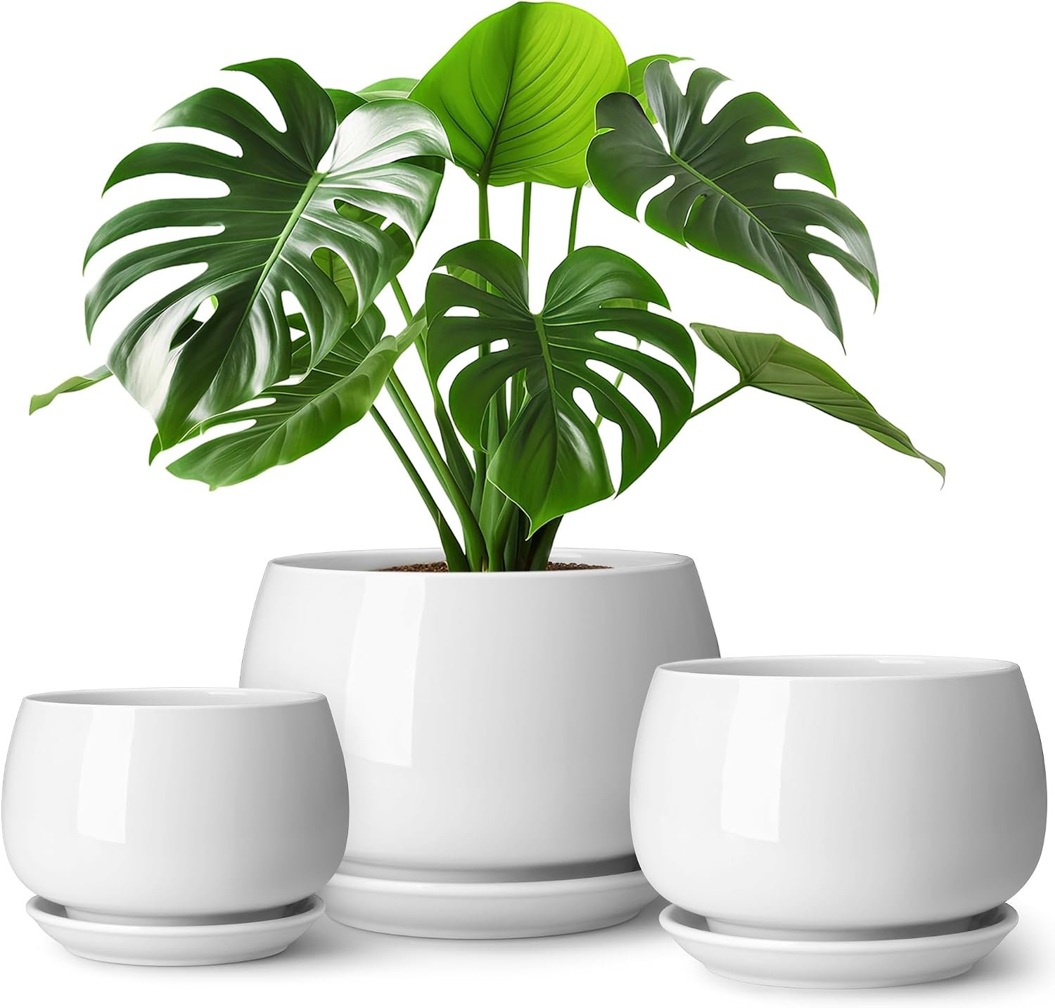 vancasso 3-Pack Ceramic Plant Pots, 3.7/4.8/6.2 Inch Indoor Planters with Saucers & Drainage Hole Planter pots for Indoor Plants and Flower, White