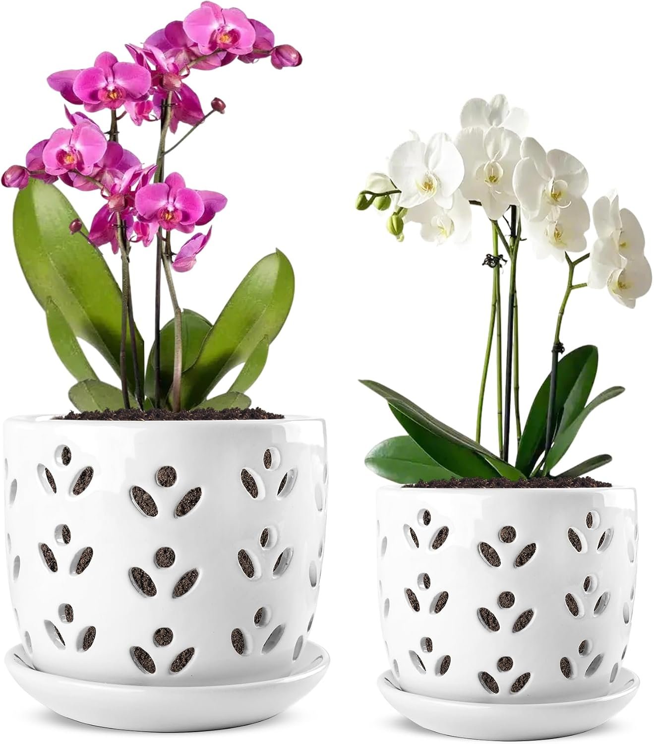 Orchid Pot, 2 Pack Orchid Pots with Drainage Holes and Saucer, 6 Inch and 5 Inch Large Ceramic Planter for Repotting Indoor Plants, Succulent, Decorative, Good Air Circulation, White
