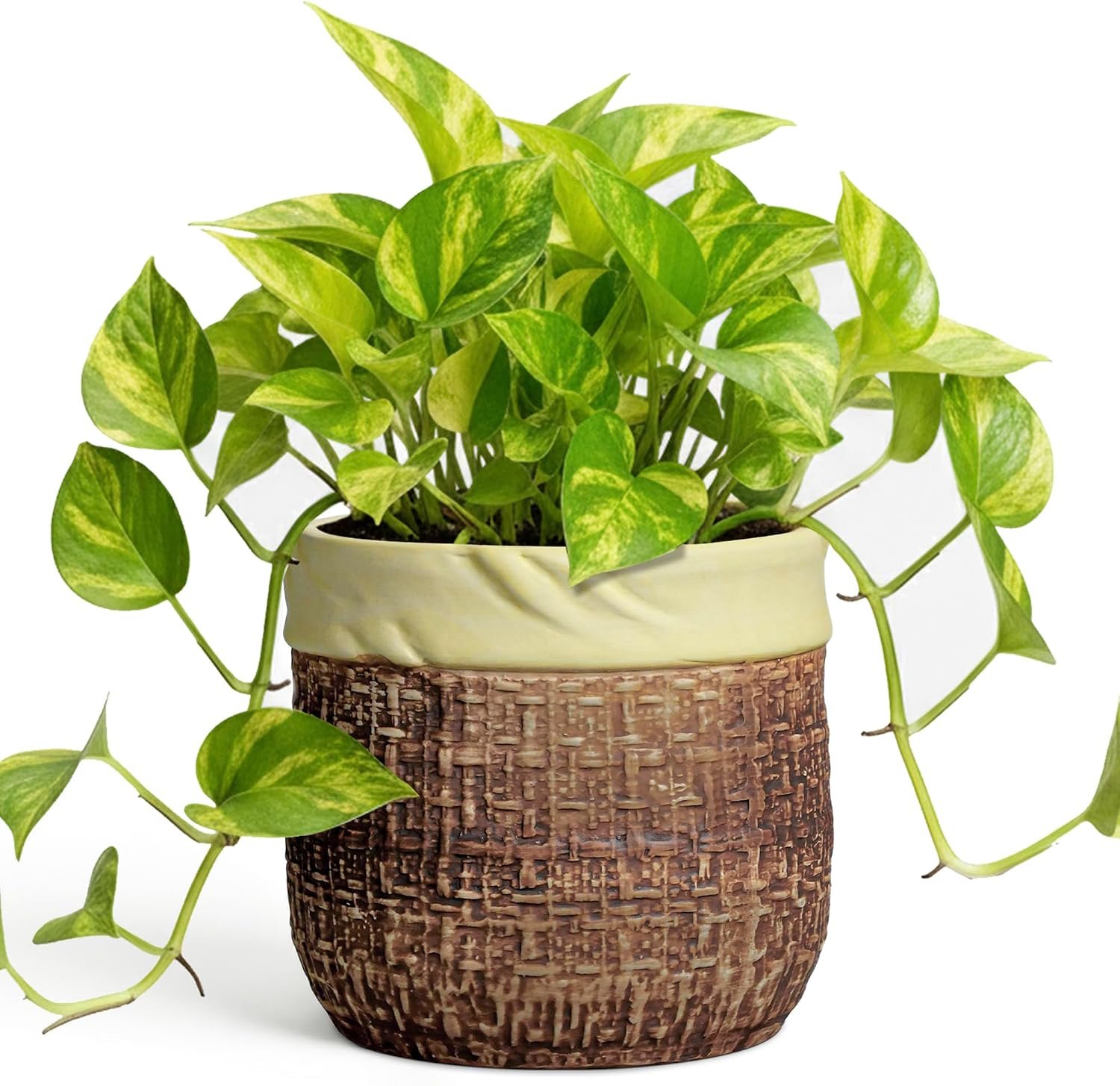 6 Inch Plant Pot – Ceramic Pots for Plants with Drainage Hole and Plug, Unique Plant Pots for Indoor Outdoor Plants, Round Planter, Room Home Decor, Gifts for Plant Lovers, Brown